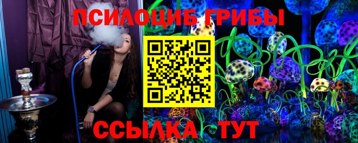 Свободный  Псилоцибиновые грибы прущие грибы  купить наркоту  Вход с VPN 