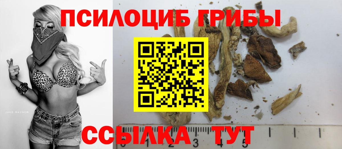 Псилоцибиновые грибы ЛСД Свободный
